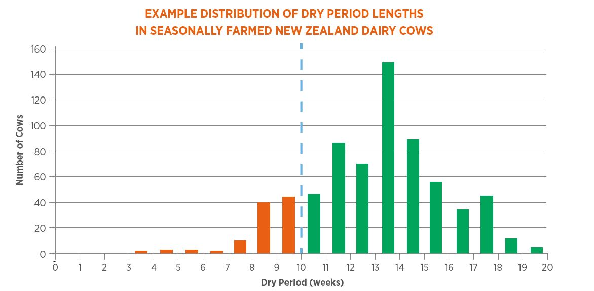 Distribution of Dry Period Lengths