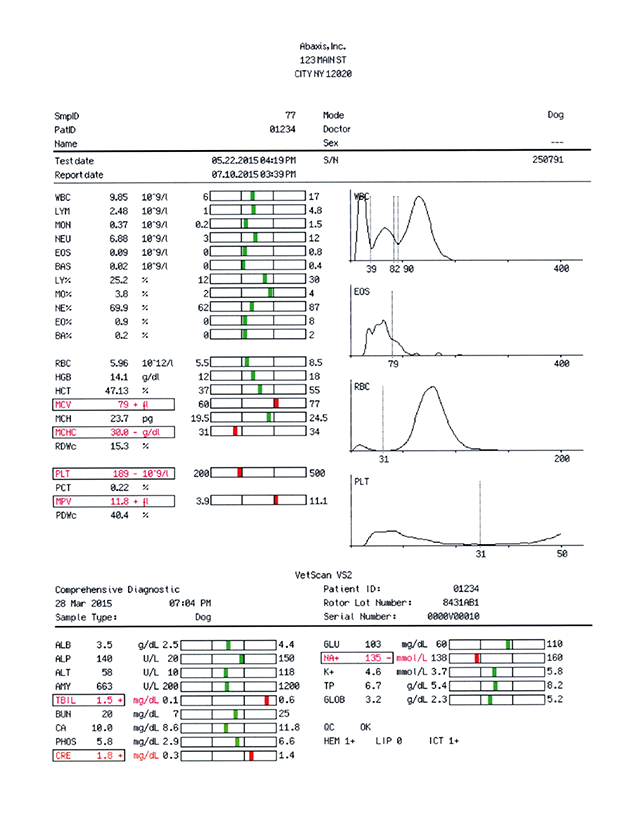 VETSCAN HM5 haematology analyser