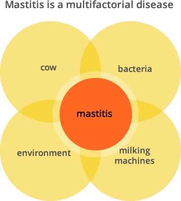 mastitis-multifactoral