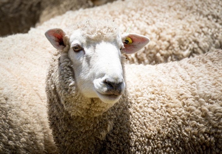 Links to useful websites