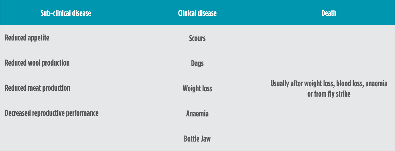 Effects of worms on production of sheep