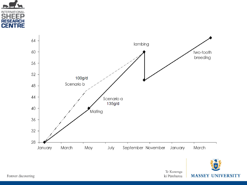 Growth Rates