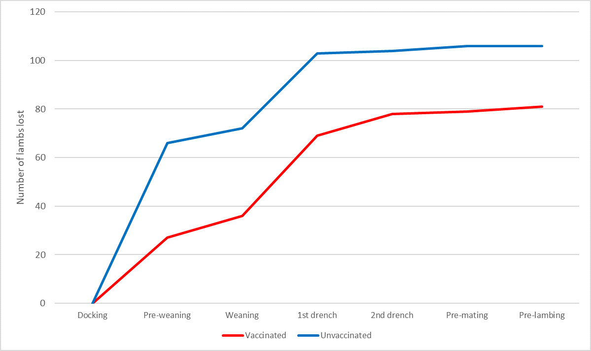 The number of total vaccinated and unvaccinated lambs lost between                management events