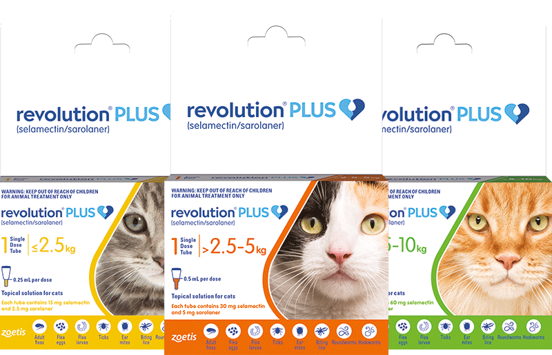 revolution plus for cats