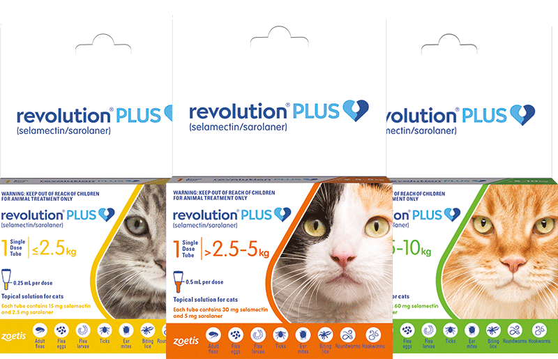 revolution vaccine for cats