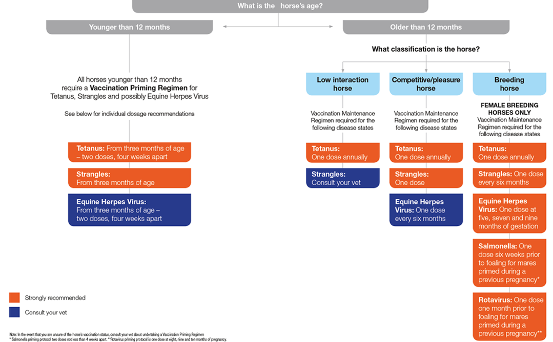 Broodmare Vaccination Chart